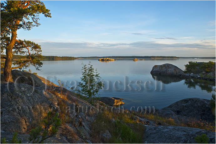 Sommarmorgon - foto av Eva Bucksch